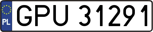 GPU31291