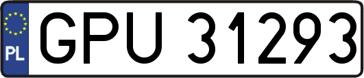 GPU31293