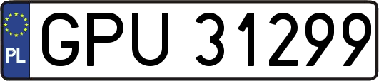 GPU31299
