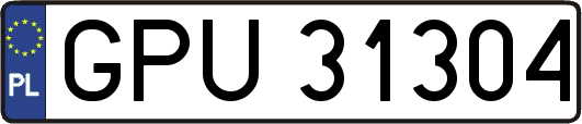 GPU31304