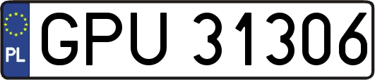 GPU31306