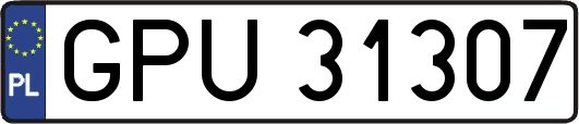 GPU31307