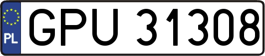 GPU31308