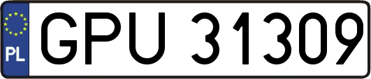 GPU31309