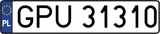 GPU31310