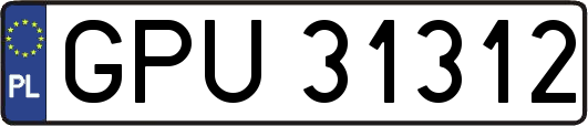 GPU31312