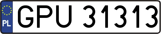 GPU31313