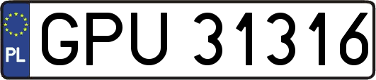 GPU31316