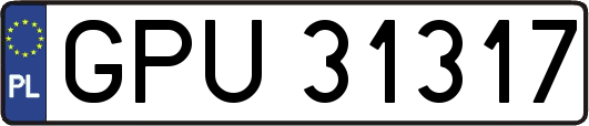 GPU31317
