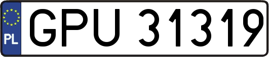 GPU31319
