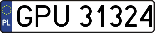 GPU31324