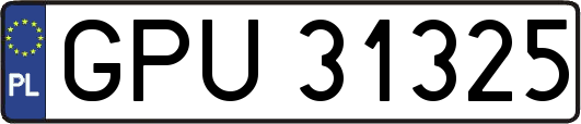 GPU31325
