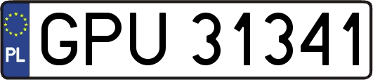 GPU31341