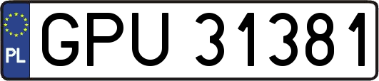 GPU31381