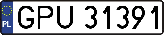 GPU31391