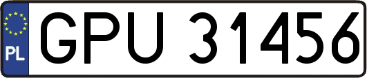 GPU31456