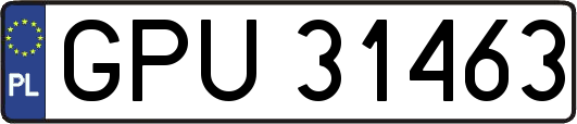 GPU31463