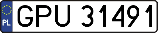 GPU31491