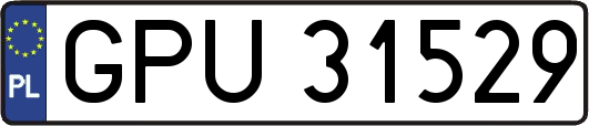 GPU31529