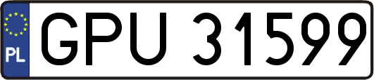 GPU31599