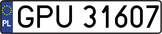 GPU31607