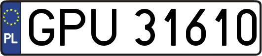 GPU31610