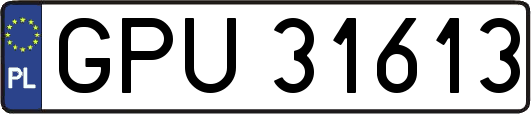 GPU31613
