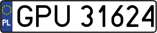 GPU31624