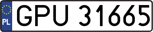 GPU31665
