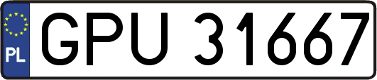 GPU31667
