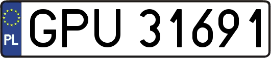 GPU31691