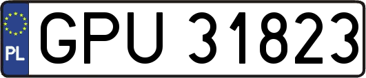 GPU31823