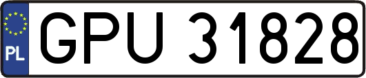 GPU31828