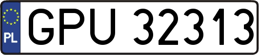 GPU32313
