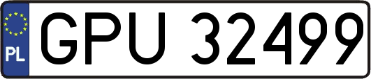 GPU32499