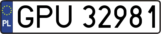 GPU32981