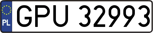 GPU32993