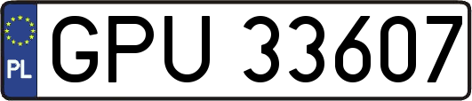 GPU33607