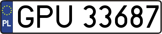 GPU33687