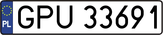 GPU33691