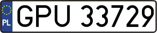 GPU33729