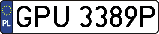 GPU3389P