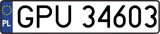 GPU34603
