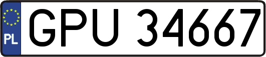 GPU34667