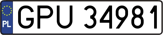 GPU34981