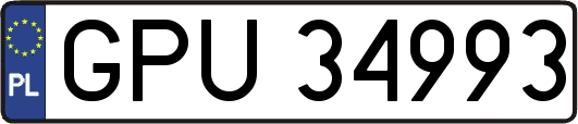 GPU34993