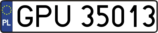 GPU35013