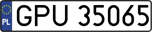 GPU35065