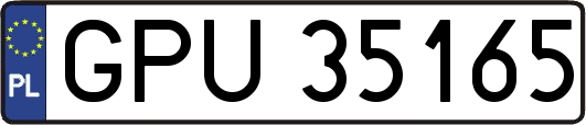 GPU35165