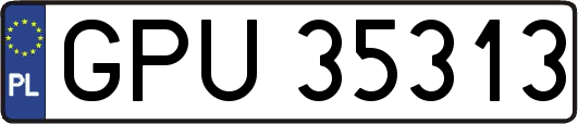 GPU35313